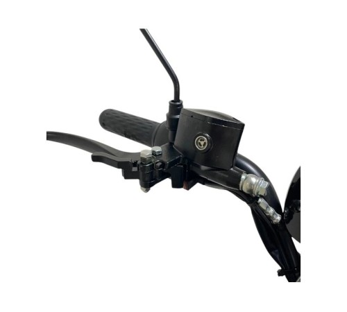 Трехколесный электроскутер CITYCOCO TRIKE GT-EV5