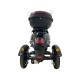 Трехколесный электроскутер CITYCOCO TRIKE GT-EV5
