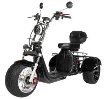 Трехколесный электроскутер CityCoco TRIKE GT X12 Grand