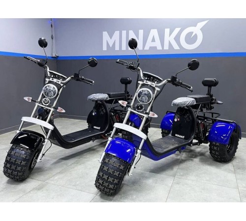 Трехколесный электроскутер Minako Rex
