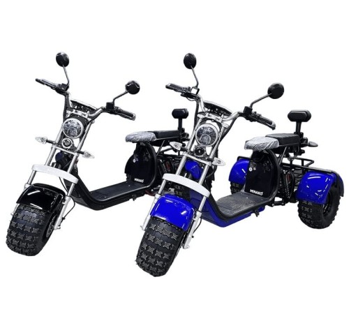 Трехколесный электроскутер Minako Rex