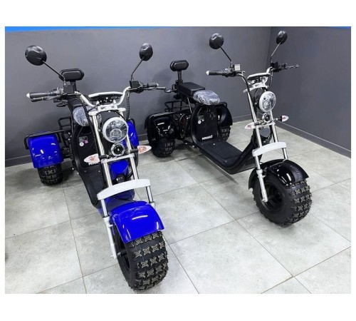 Трехколесный электроскутер Minako Rex