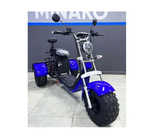 Трехколесный электроскутер Minako Rex