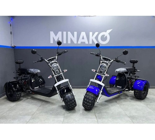 Трехколесный электроскутер Minako Rex
