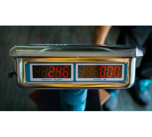 Весы напольные электронные Total TES1202