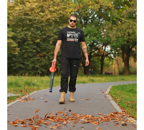 Воздуходувка аккумуляторная Patriot CB215 21В UES (Без АКБ и ЗУ)