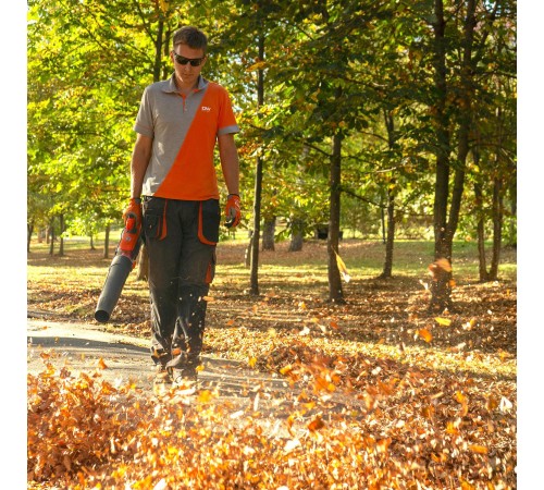 Воздуходувка аккумуляторная Daewoo Power DABL 5521Li SET