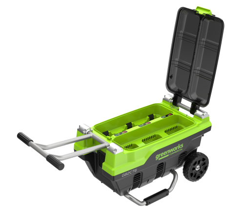 Зарядное устройство Greenworks G82CT6 для 6 АКБ