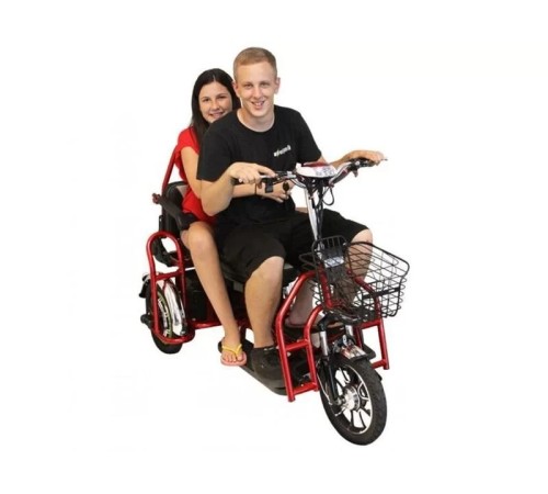 Электротрицикл Elbike Адъютант Double Twix (a4) 2x350w48v20a (li-ion)