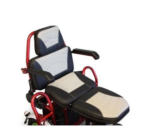 Электротрицикл Elbike Адъютант Double Twix (a4) 2x350w48v20a (li-ion)