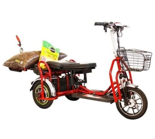 Электротрицикл Elbike Адъютант Double Twix (a4) 2x350w48v20a (li-ion)