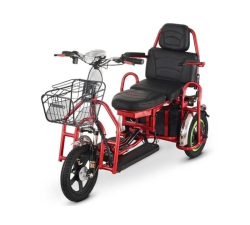 Электротрицикл Elbike Адъютант Double Twix (a4) 2x350w48v20a (li-ion)