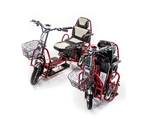 Электротрицикл Elbike Адъютант Double Twix (a4) 2x350w48v20a (li-ion)