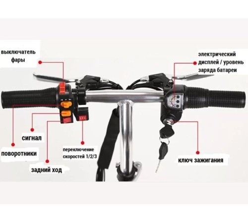 Электротрицикл Elbike Адъютант Twix 350 (a2) 2x350w48v20a (li-ion)