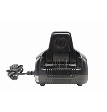 Быстрое зарядное устройство для двух аккумуляторов Greenworks 60V G60DC10 10А