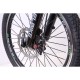 Электровелосипед Elbike GANGSTAR VIP13A