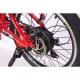 Электровелосипед Elbike GANGSTAR VIP13A