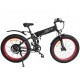 Электровелосипед Elbike MATRIX BIG ELITE