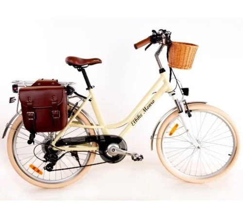 Электровелосипед Elbike MONRO