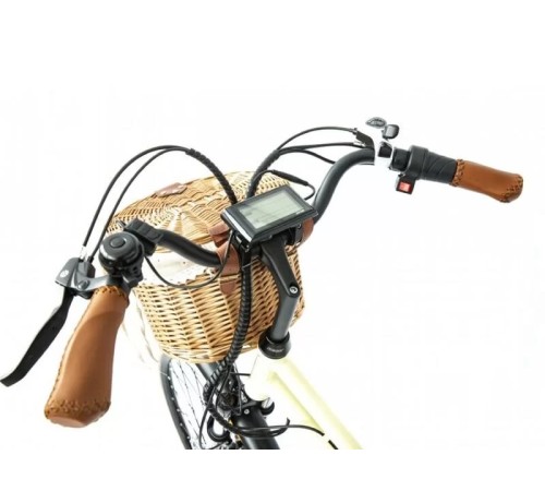 Электровелосипед Elbike MONRO