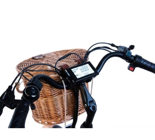 Электровелосипед Elbike MONRO