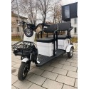 Электротрицикл Shtenli Model 37 60V