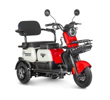 Электротрицикл Gelbert Vega 48V/60V 600Вт