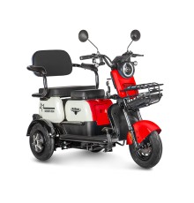 Электротрицикл Gelbert Vega 48V/60V 600Вт