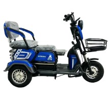 Электротрицикл Green T10