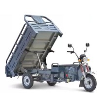 Грузовой электротрицикл TSUNAMI E3 с подъемным механизмом