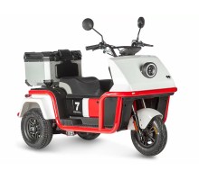 Электротрицикл Wanshida DOUHAO 60V 800Вт