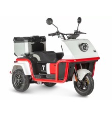 Электротрицикл Wanshida DOUHAO 60V 800Вт