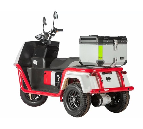 Электротрицикл Wanshida DOUHAO 60V 800Вт