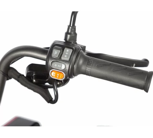 Электротрицикл Wanshida LC-F200 60V 1000Вт