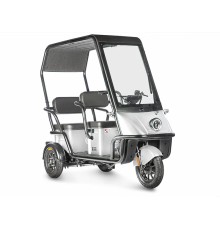 Электротрицикл Wanshida NIPLA 500 60V 1000Вт