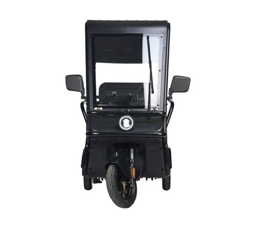 Электротрицикл Wanshida NIPLA 570 60V 1000Вт