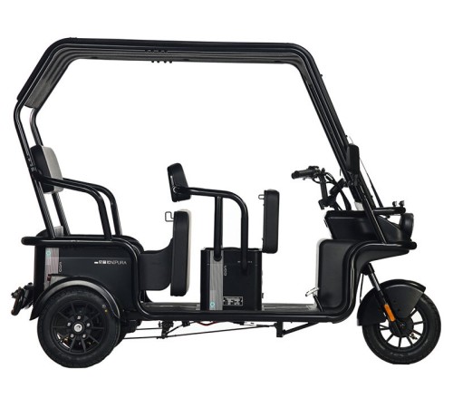 Электротрицикл Wanshida NIPLA 570 60V 1000Вт