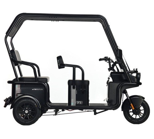 Электротрицикл Wanshida NIPLA 570 60V 1000Вт