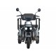 Электротрицикл Wanshida U1-X 60V 800Вт
