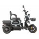 Электротрицикл Wanshida UN MOTO 60V 650Вт