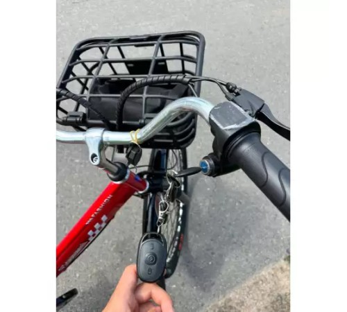 Электровелосипед TSUNAMI Dacha 500w