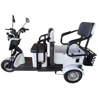 Электротрицикл Shtenli Model 37 60V