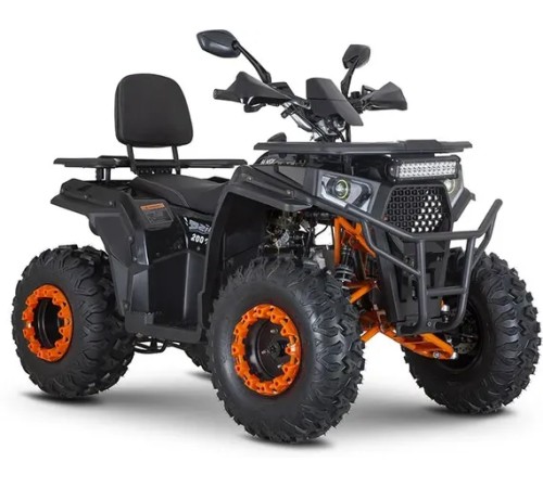 Квадроцикл Minsk Dzik 200