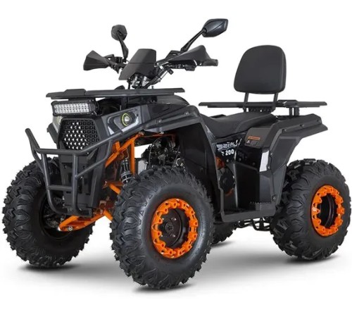 Квадроцикл Minsk Dzik 200