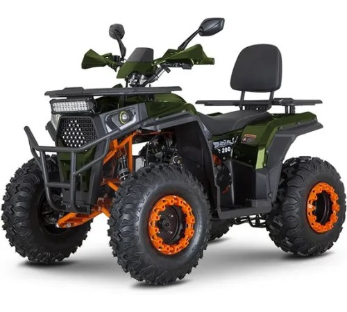 Квадроцикл Minsk Dzik 200