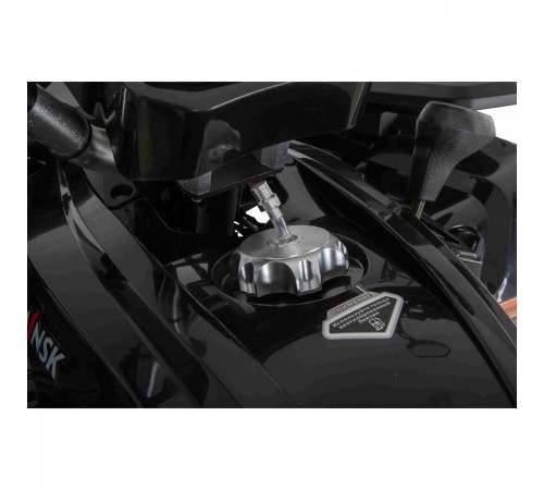 Квадроцикл Minsk Dzik 200