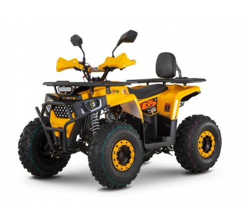 Квадроцикл Minsk Lis 125