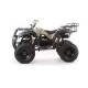 Квадроцикл Motoland 200 All Road