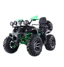 Квадроцикл Storm 200 Wild Track Lux