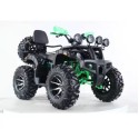 Квадроцикл Storm 200 Wild Track Lux